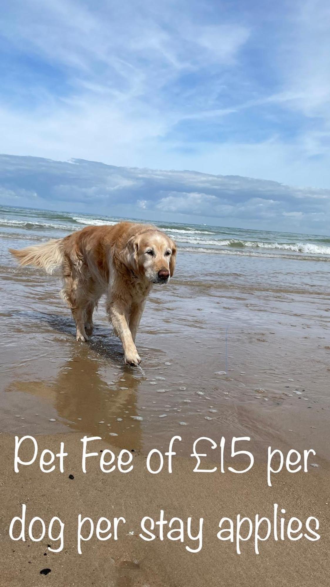 Fab Stay Uk - Coastal And Country Retreat With Free Secure Off Road Parking Minutes From Both Dover And Deal Exterior photo